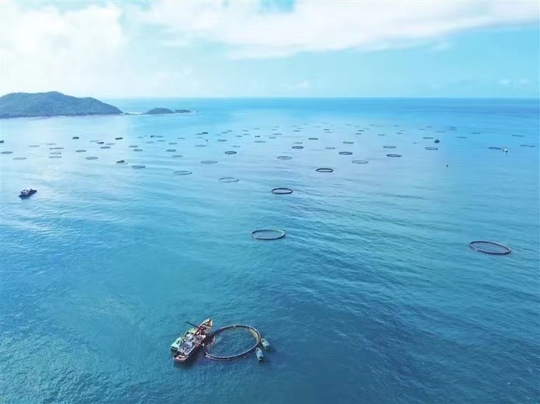 再攀新高！三亞農(nóng)投海洋產(chǎn)業(yè)有限公司成功入選